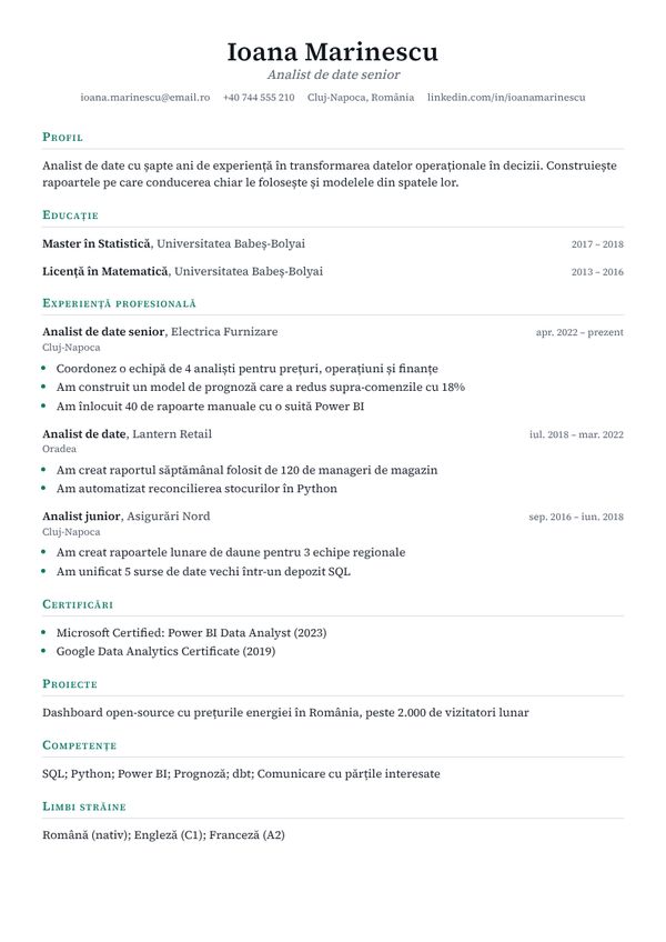 Șablon CV Academic