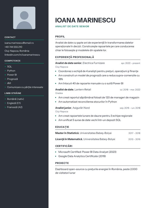 Șablon CV Bară laterală