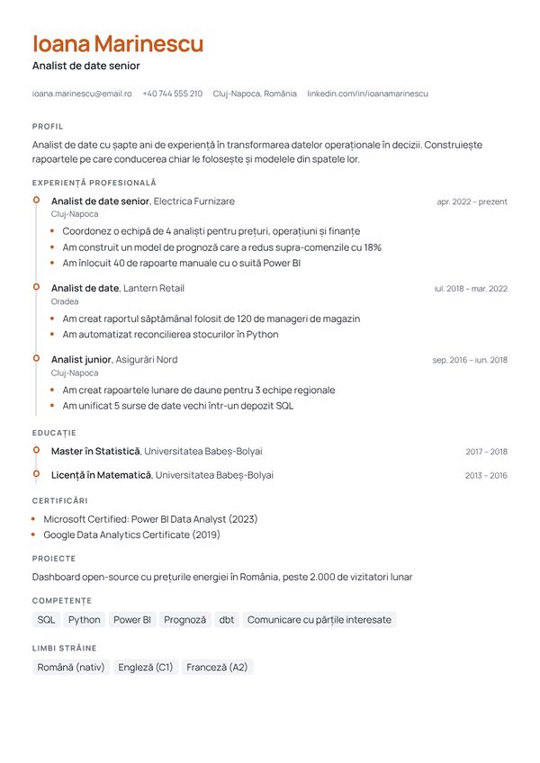 Șablon CV Cronologic